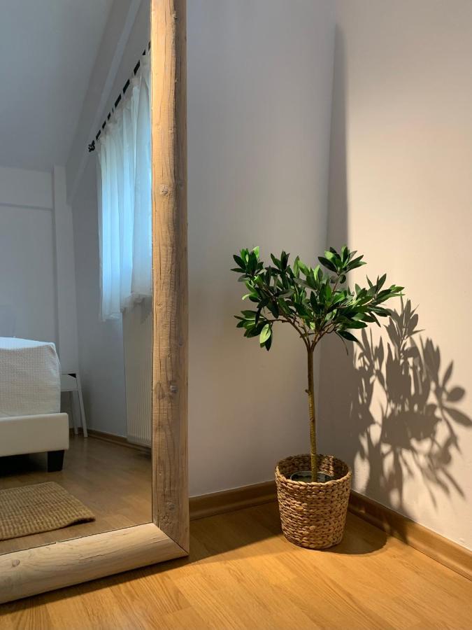 Casa Brucie - New Stylish Apartment In Corfu! Kanali  ภายนอก รูปภาพ